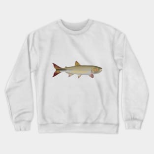 Dorado Crewneck Sweatshirt